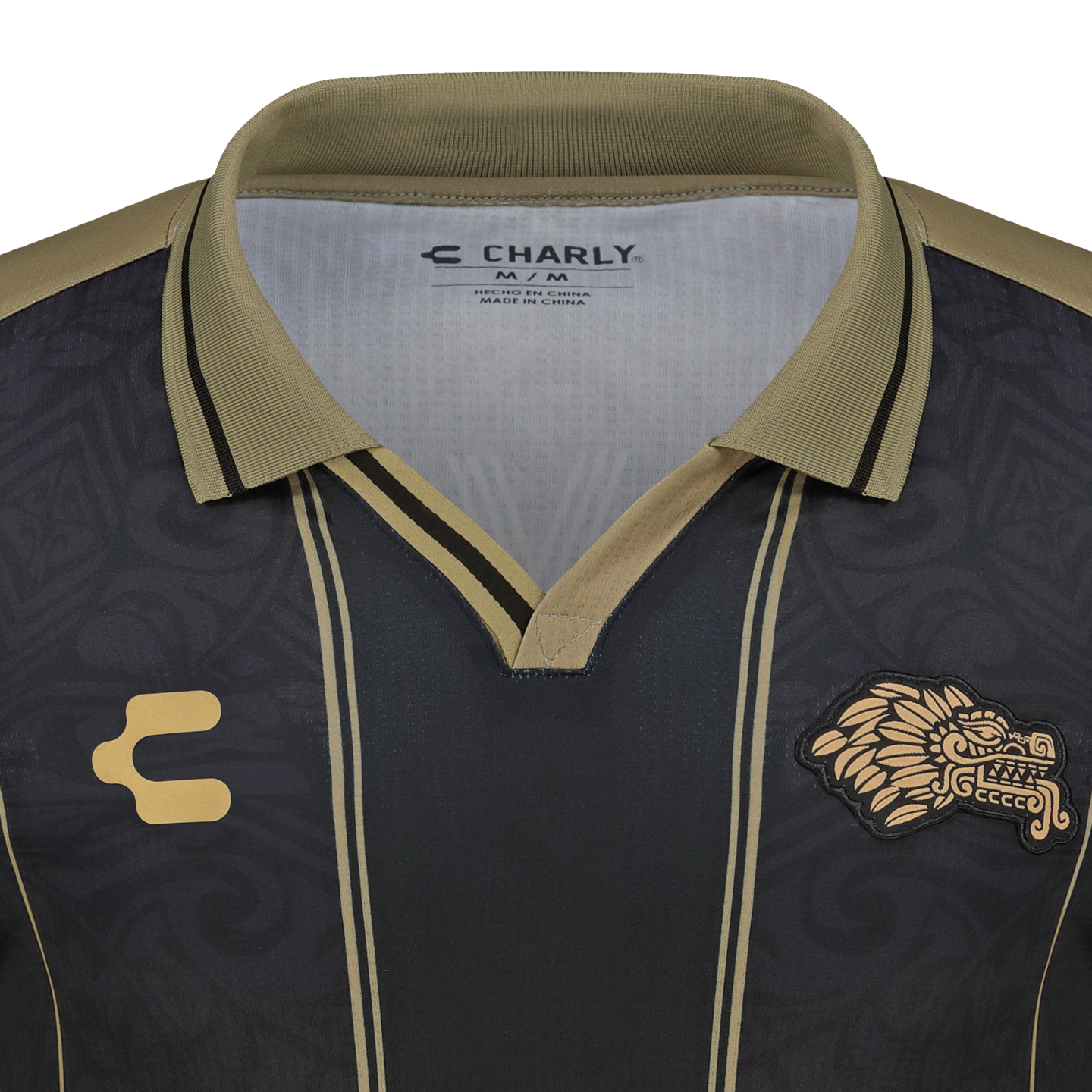 Close-up of a dark grey Charly sports jersey with gold accents. It features a gold brand logo on the right and an intricate dragon-like crest on the left chest.