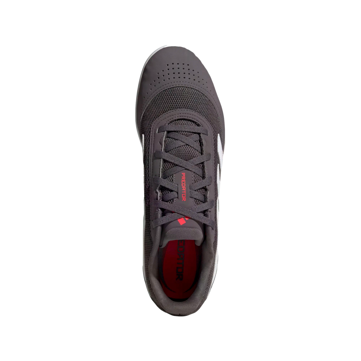 Adidas Predator Club Sala Indoor Shoes ID3789