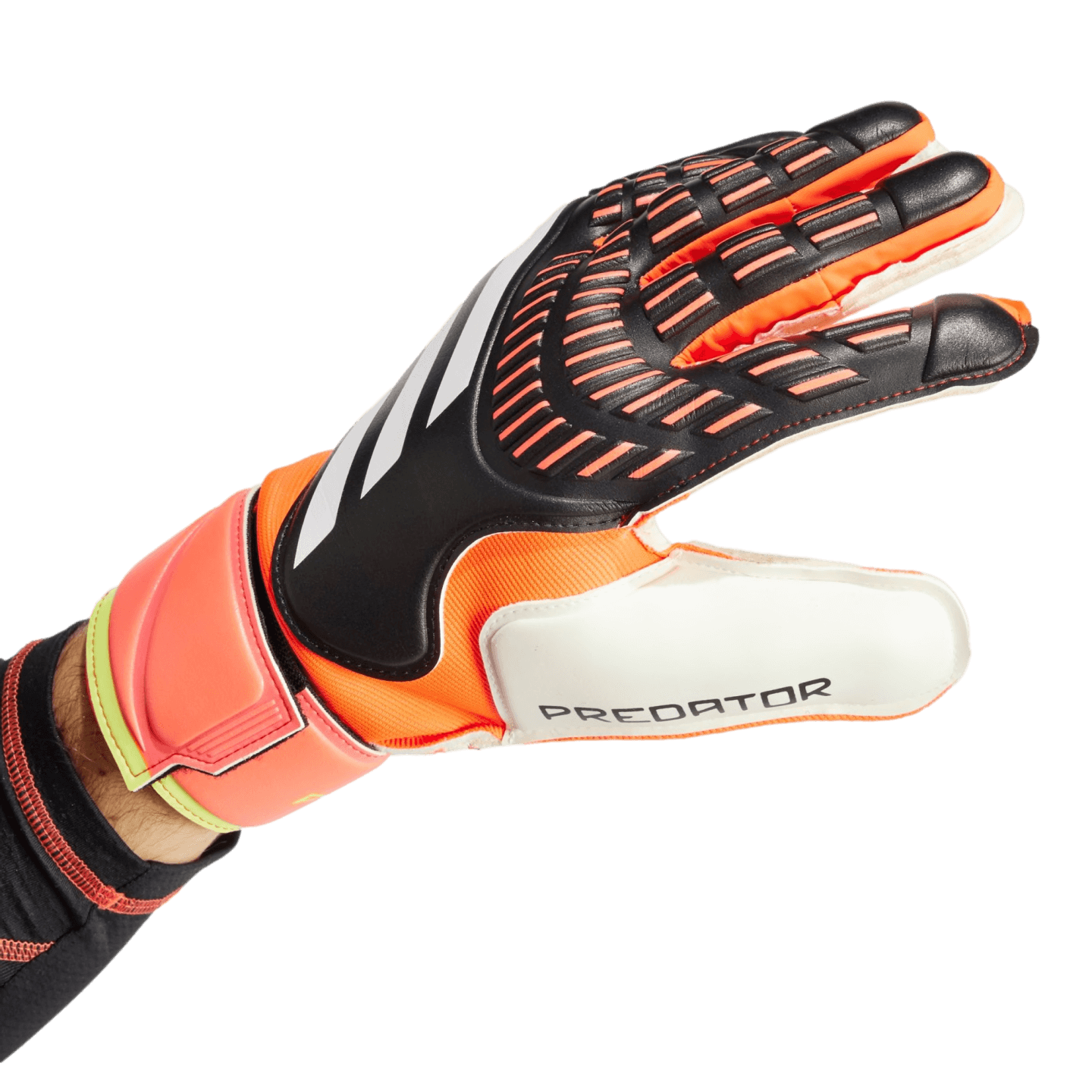 Adidas Predator Match Goalkeeper Gloves IN1599