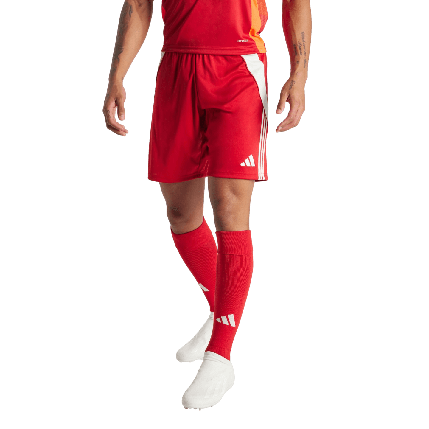 adidas Tiro 24 Shorts - Red