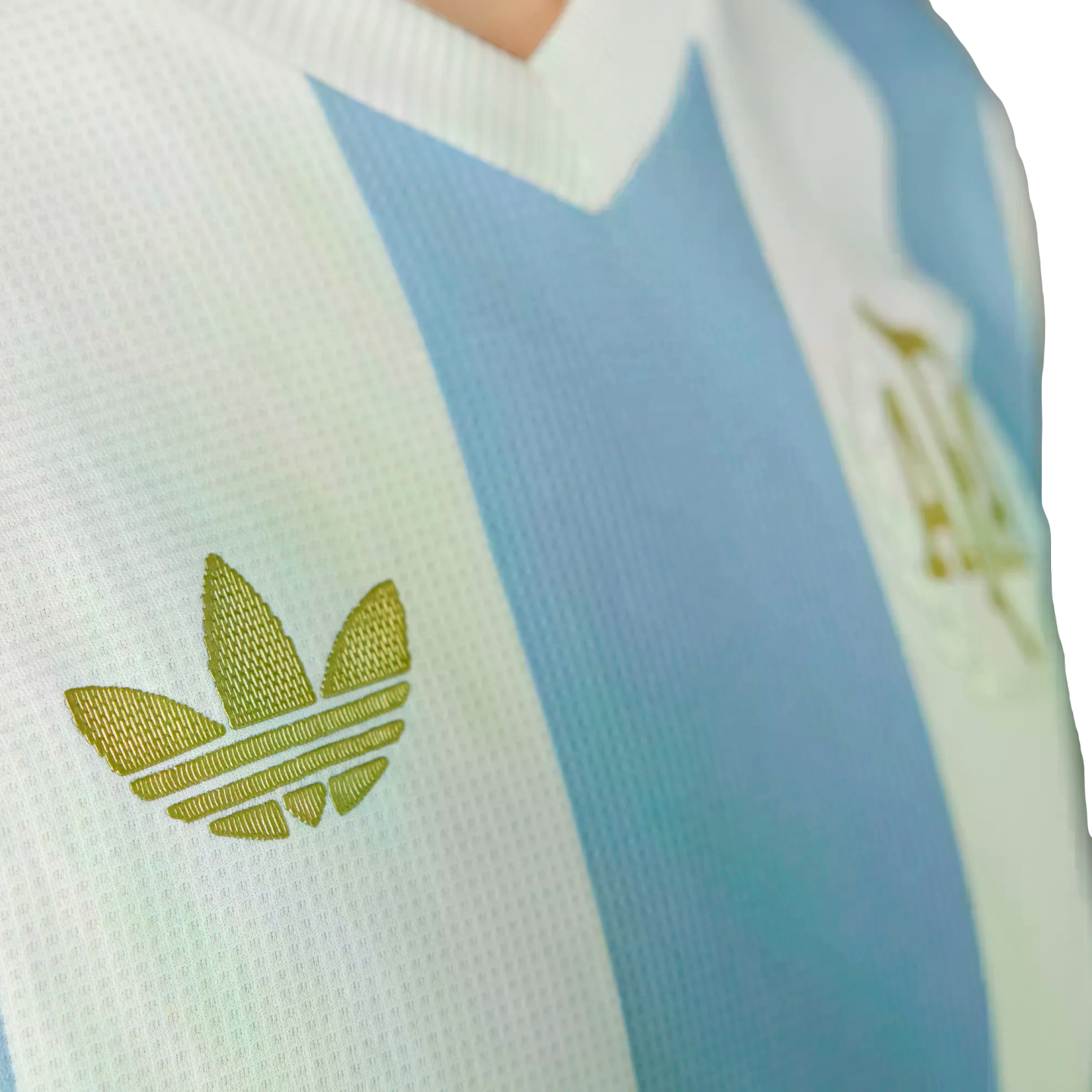 Adidas Argentina 50th Anniversary Jersey JF2641