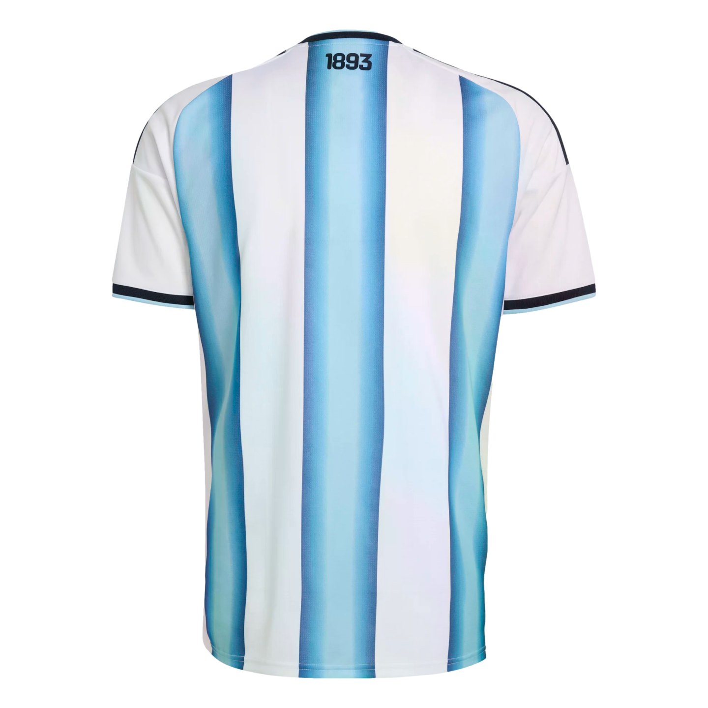 Back view of a light blue and white striped soccer jersey with "1893" printed on the upper back, against a black background.