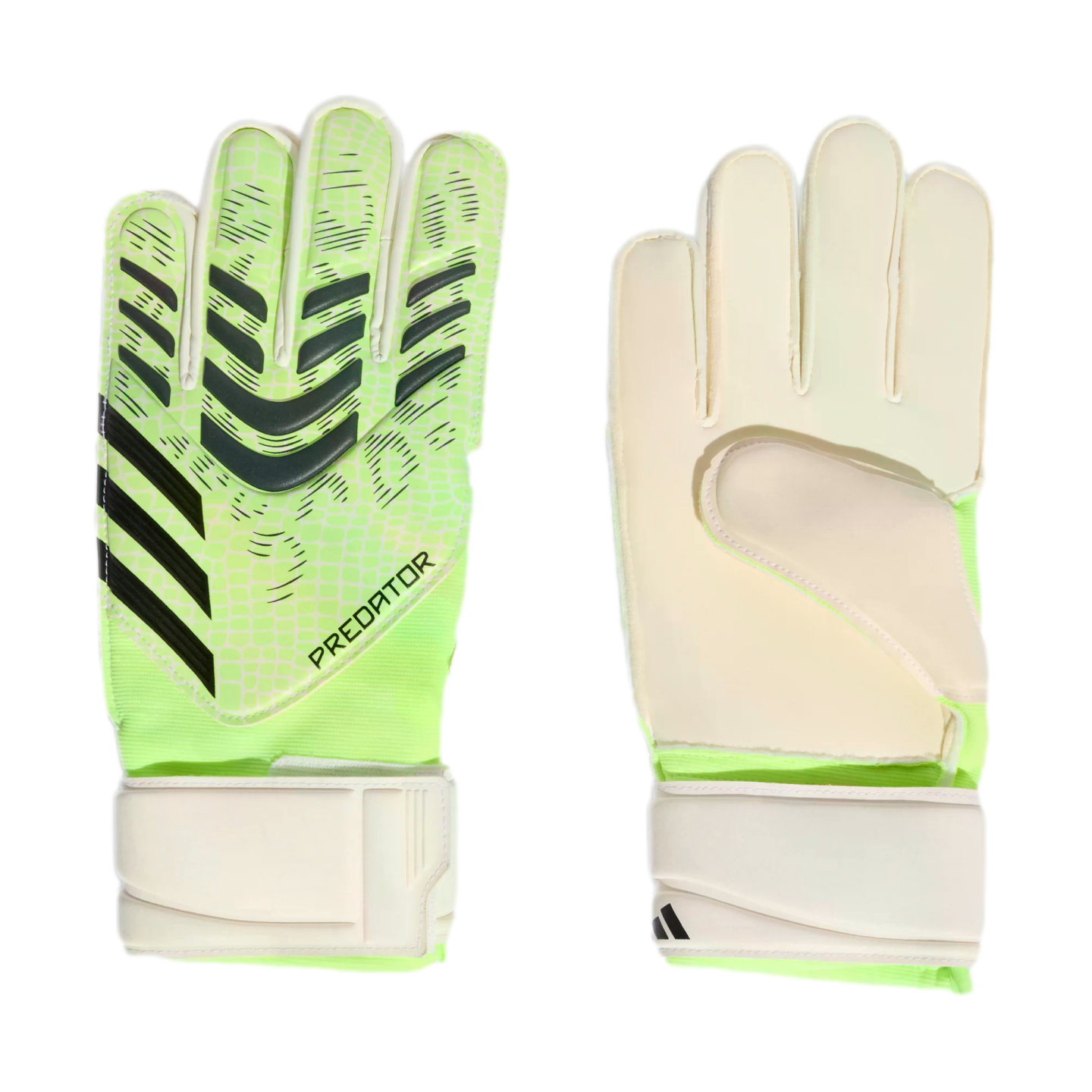 A pair of Adidas Predator goalkeeper gloves showing the neon green backhand with black patterns and the white palm side. Both have white wrist straps on a black background.