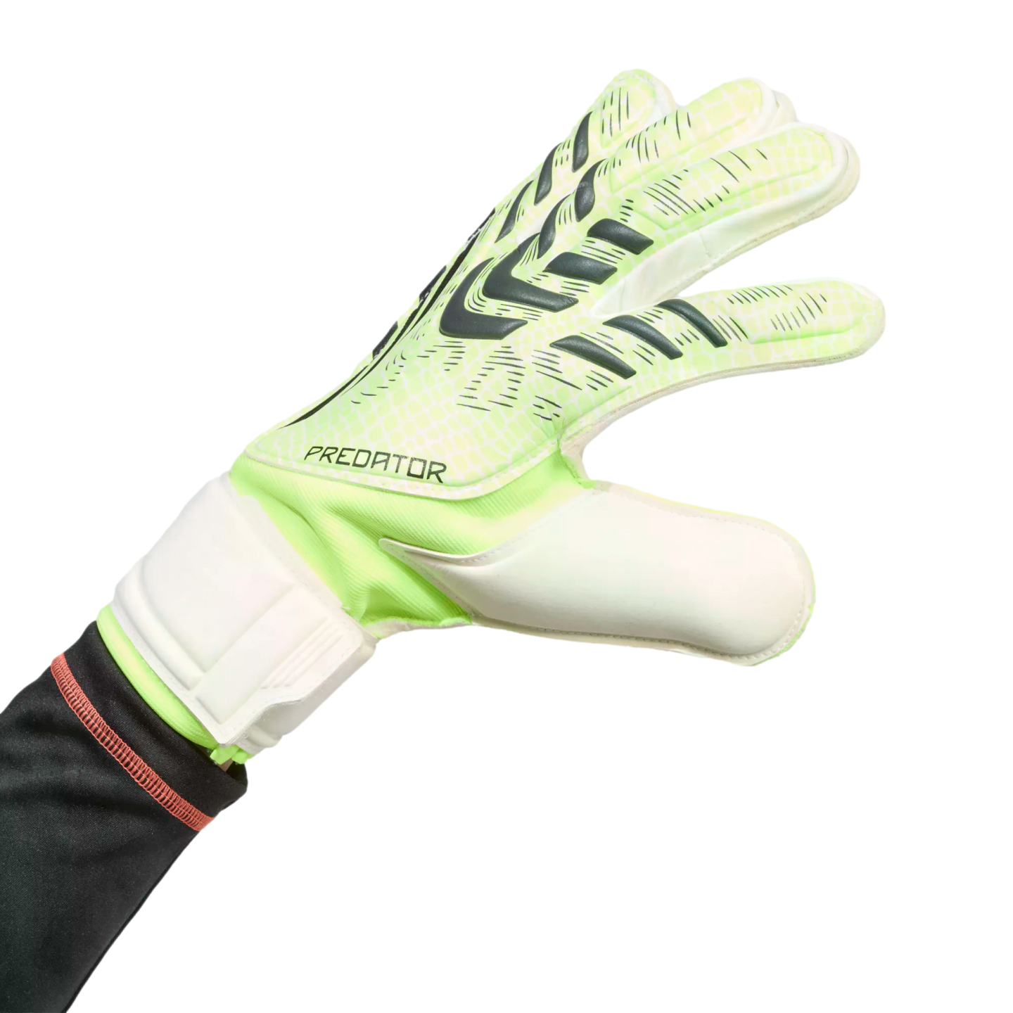 Neon green and white Adidas Predator goalkeeper glove with dark grey patterns, worn on a hand against a black background.