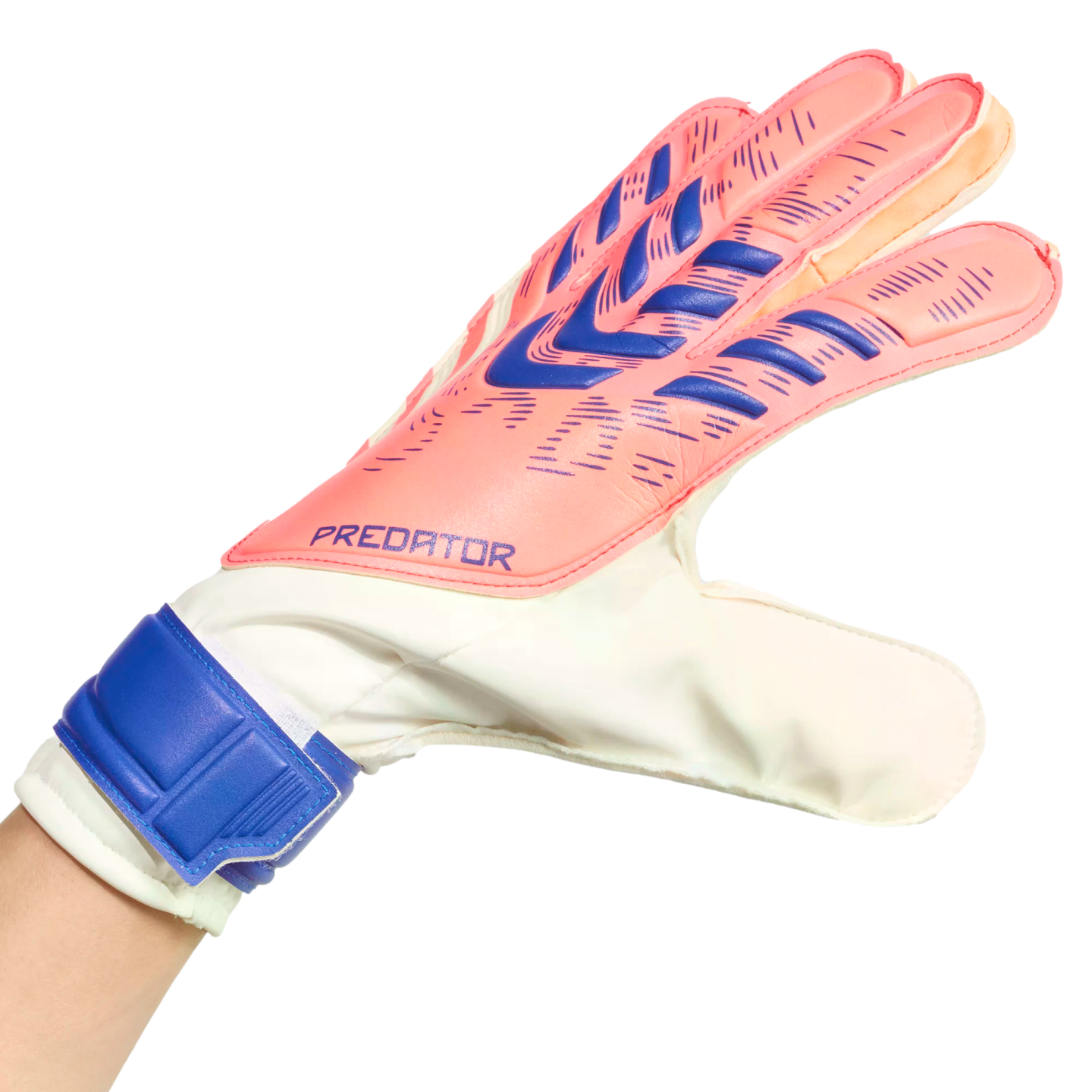 A pink and white Adidas Predator goalkeeper glove with blue accents, worn on a hand against a solid black background.