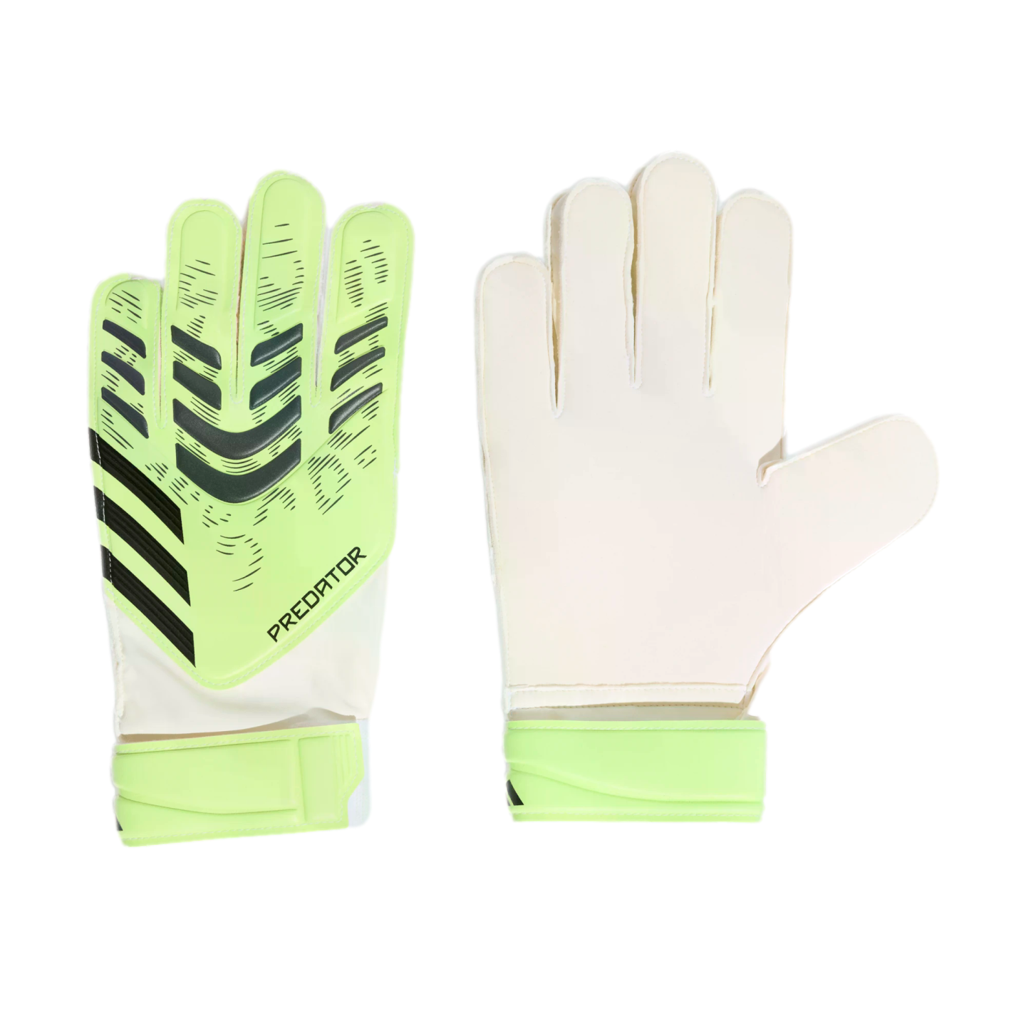 A pair of lime green and white Adidas Predator goalkeeper gloves, showing both the backhand with black stripes and the plain palm side.