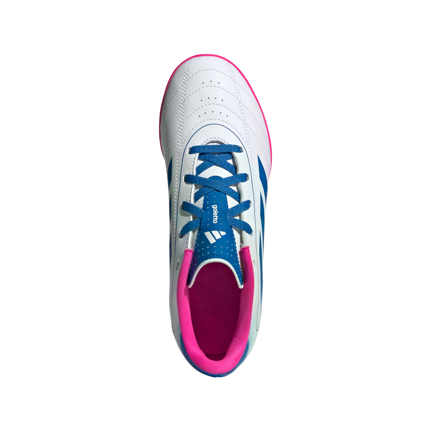Top-down view of a white Adidas Goletto soccer shoe with blue laces and bright pink accents.