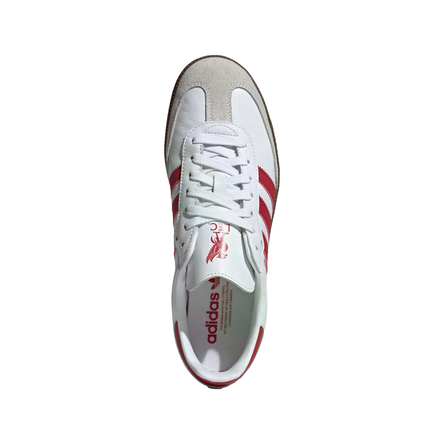 Top-down view of a white Adidas Samba sneaker with red stripes and a red Liverpool FC crest on the tongue, set against a black background.
