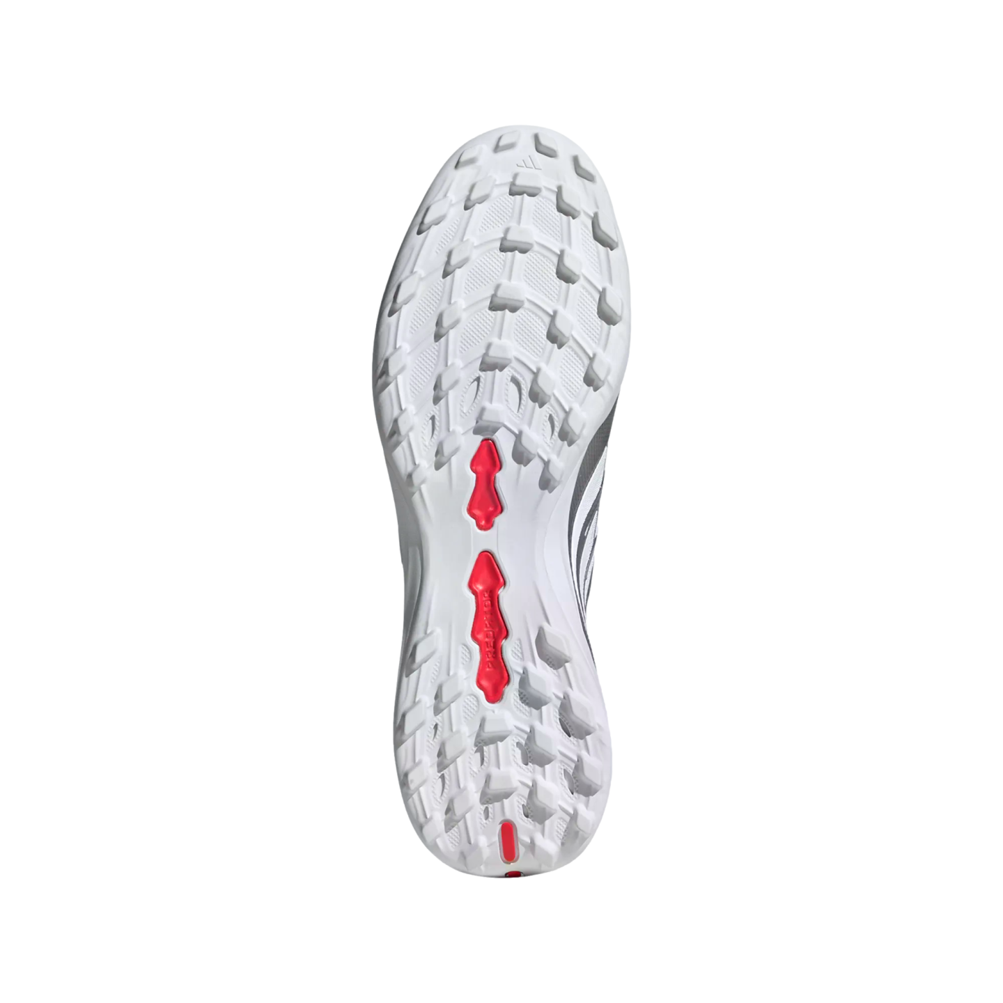 A bottom view of a white Adidas Predator soccer cleat sole with red accents and numerous small studs, set against a solid black background.