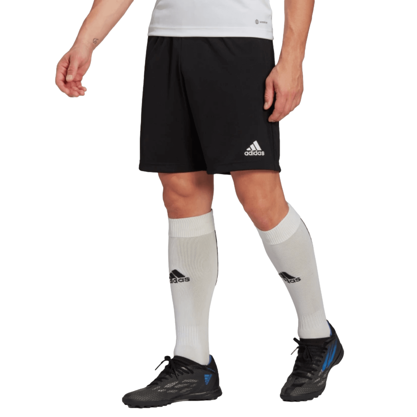 Adidas Pantalones cortos de entrenamiento Entrada 22
