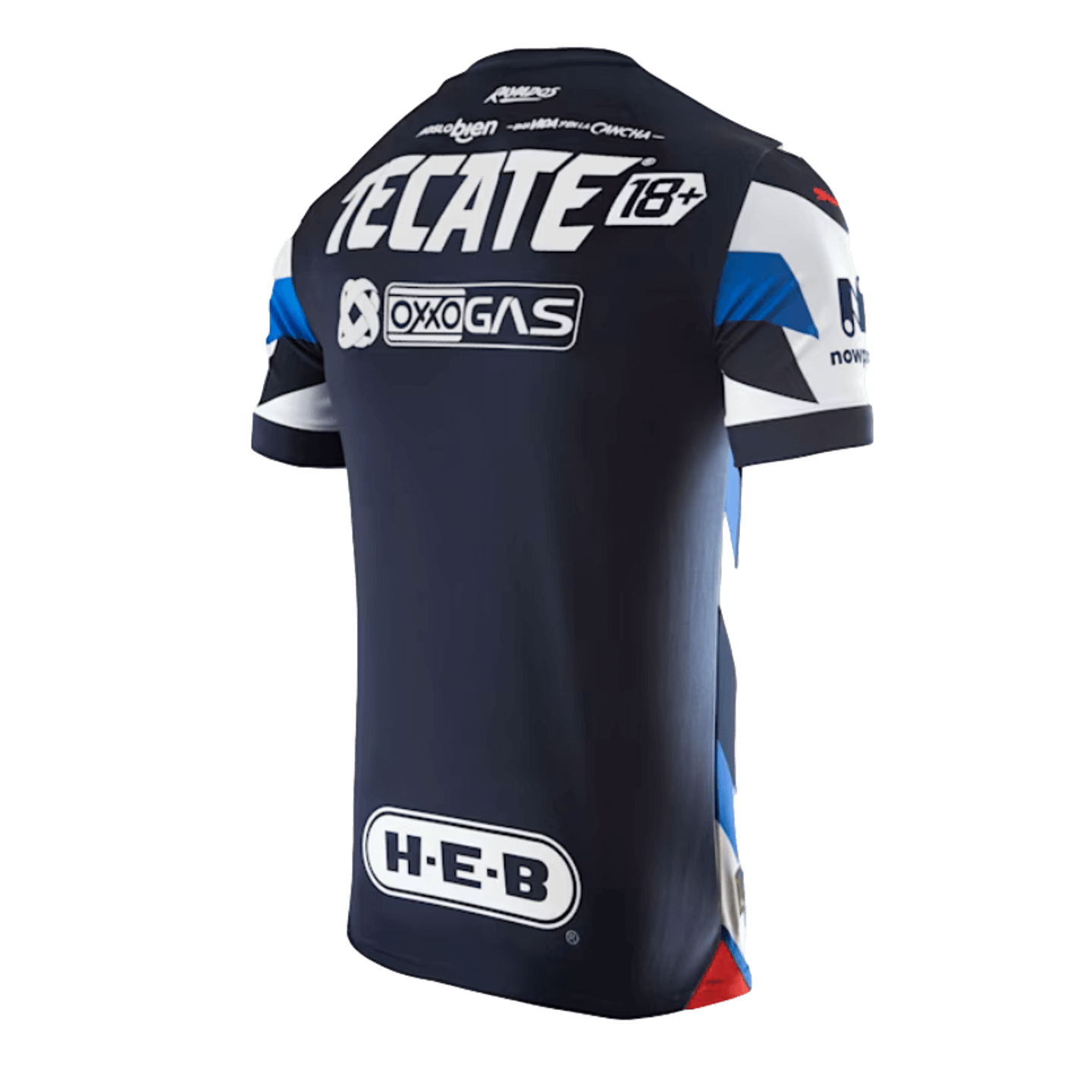 Puma Monterrey 23/24 Alternative Third Jersey 763531-01