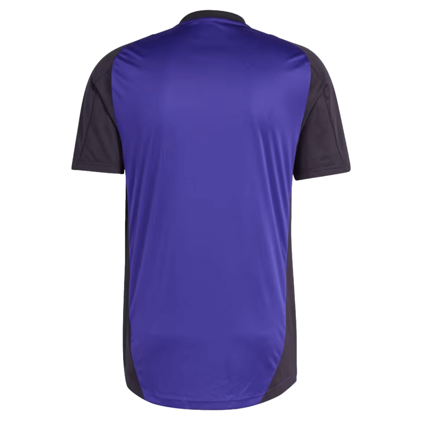 Adidas Germany Training Jersey IP8245