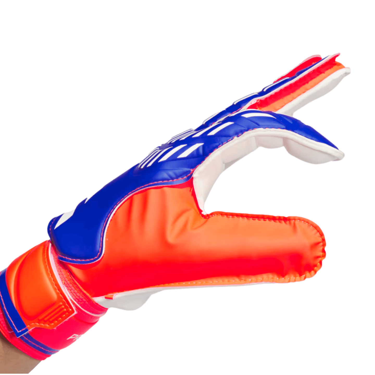 Adidas Predator Training Goalkeeper Gloves