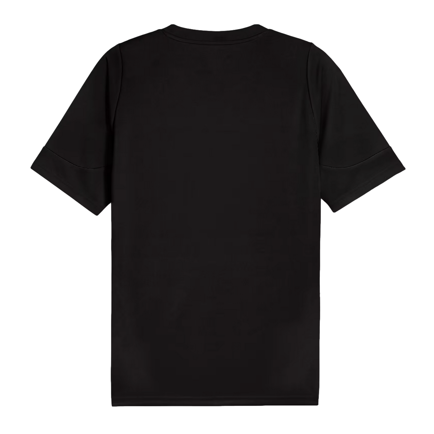 Back view of a plain black short-sleeved crew neck t-shirt.