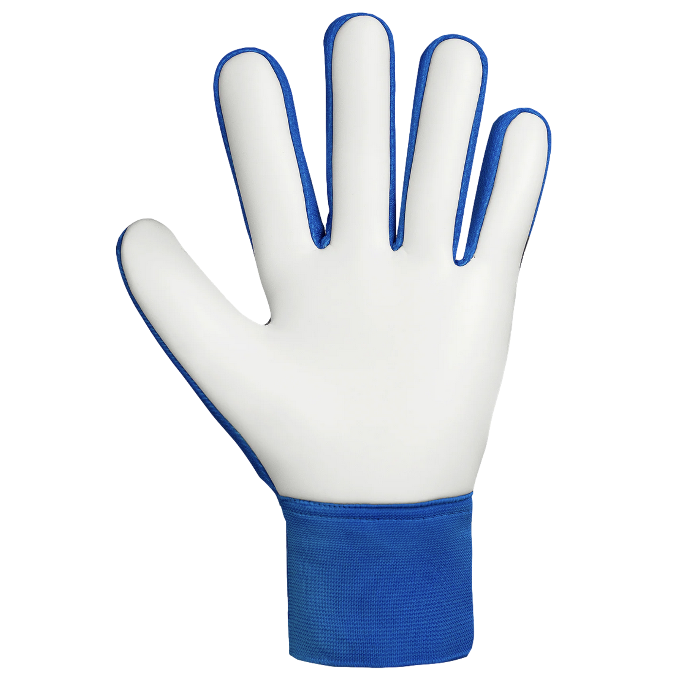 A white and blue goalkeeper glove featuring a white palm and blue wristband, displayed against a solid black background.