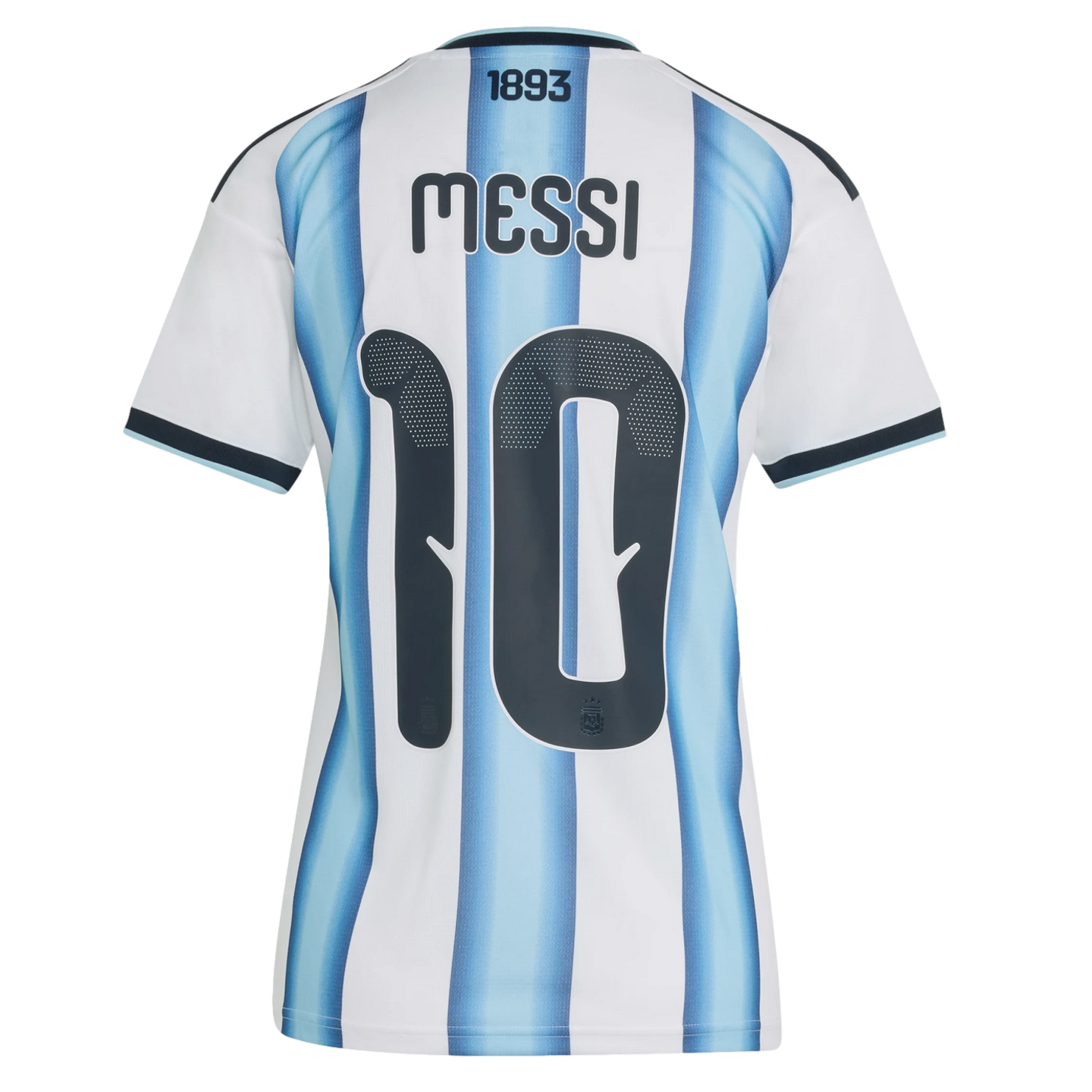 Back of a light blue and white striped Argentina soccer jersey with the name "MESSI", number "10", and "1893" printed at the top.