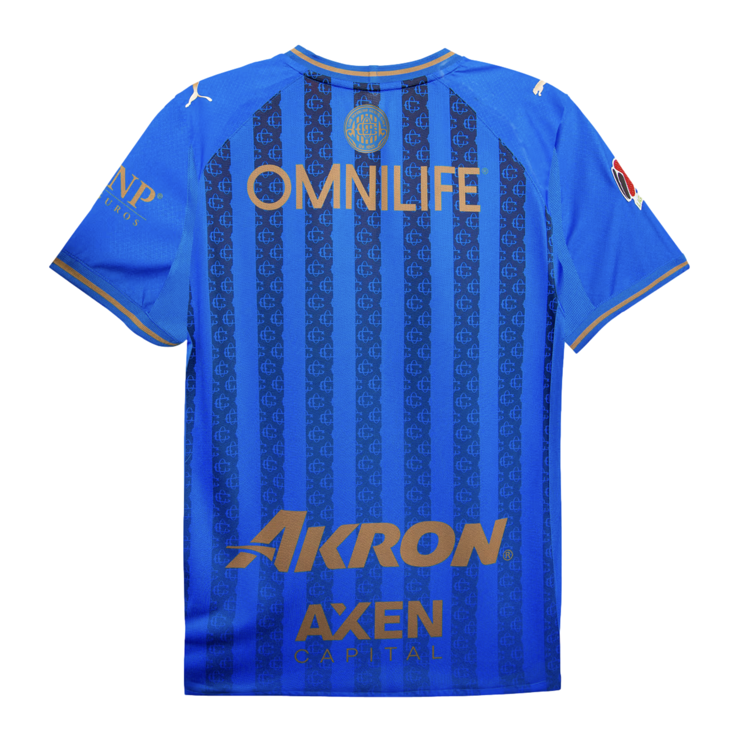 Back of a blue soccer jersey with gold OMNILIFE and Akron sponsor logos, vertical stripes, and Puma shoulder details.