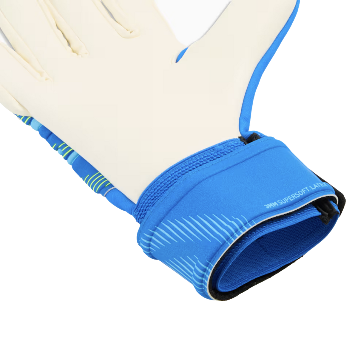 Puma Future Match NC Goalkeeper Gloves