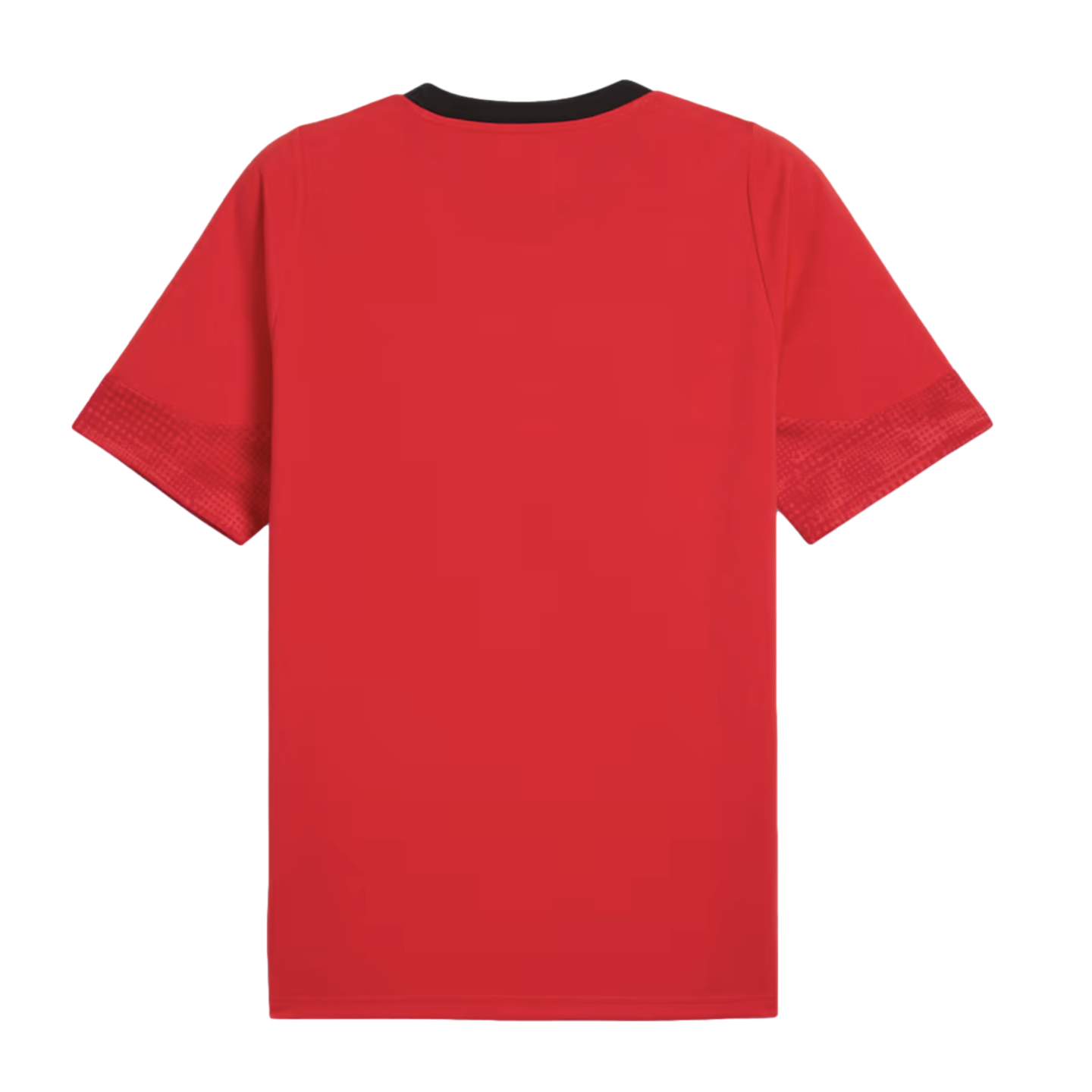 Puma AC Milan Training Jersey