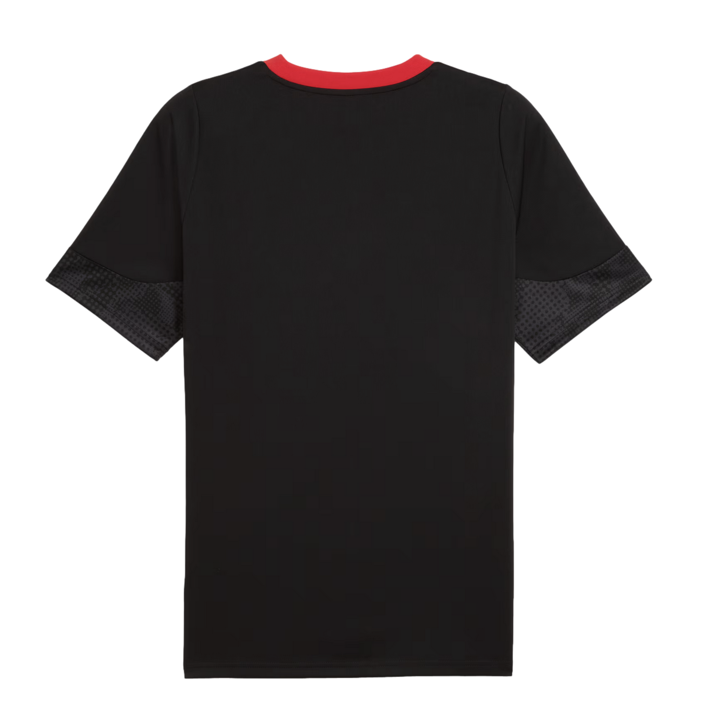 Puma AC Milan Training Jersey