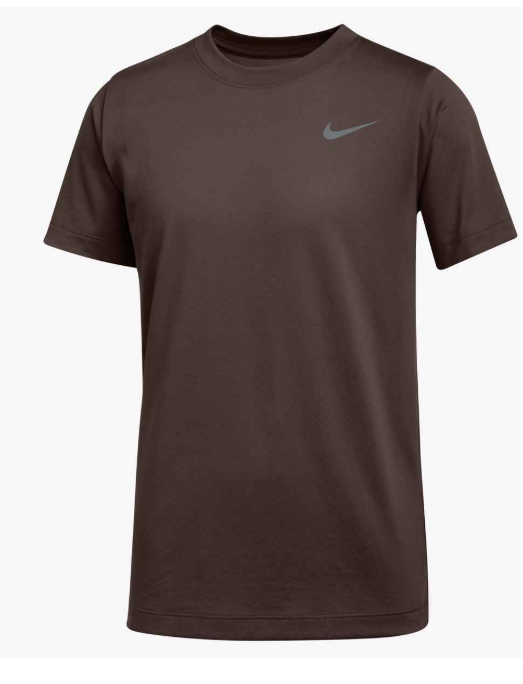 Nike Dri-FIT Legend Tee - Team Vegas Gold
