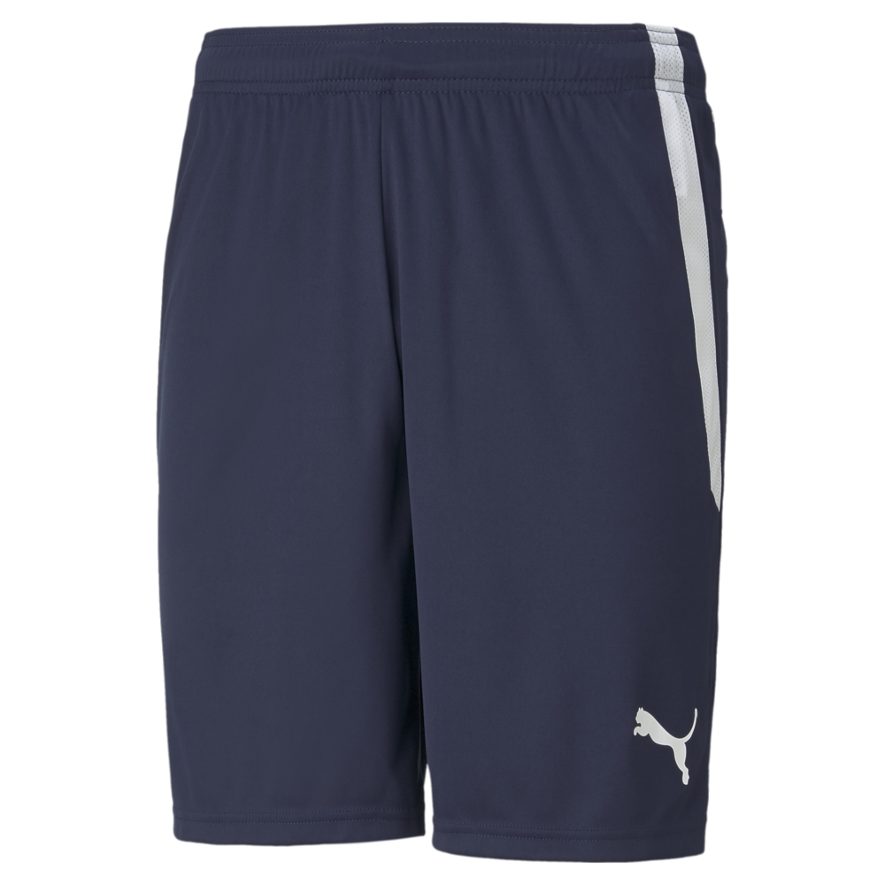 Puma Team Liga 25 Shorts [Puma Navy] 704931-06