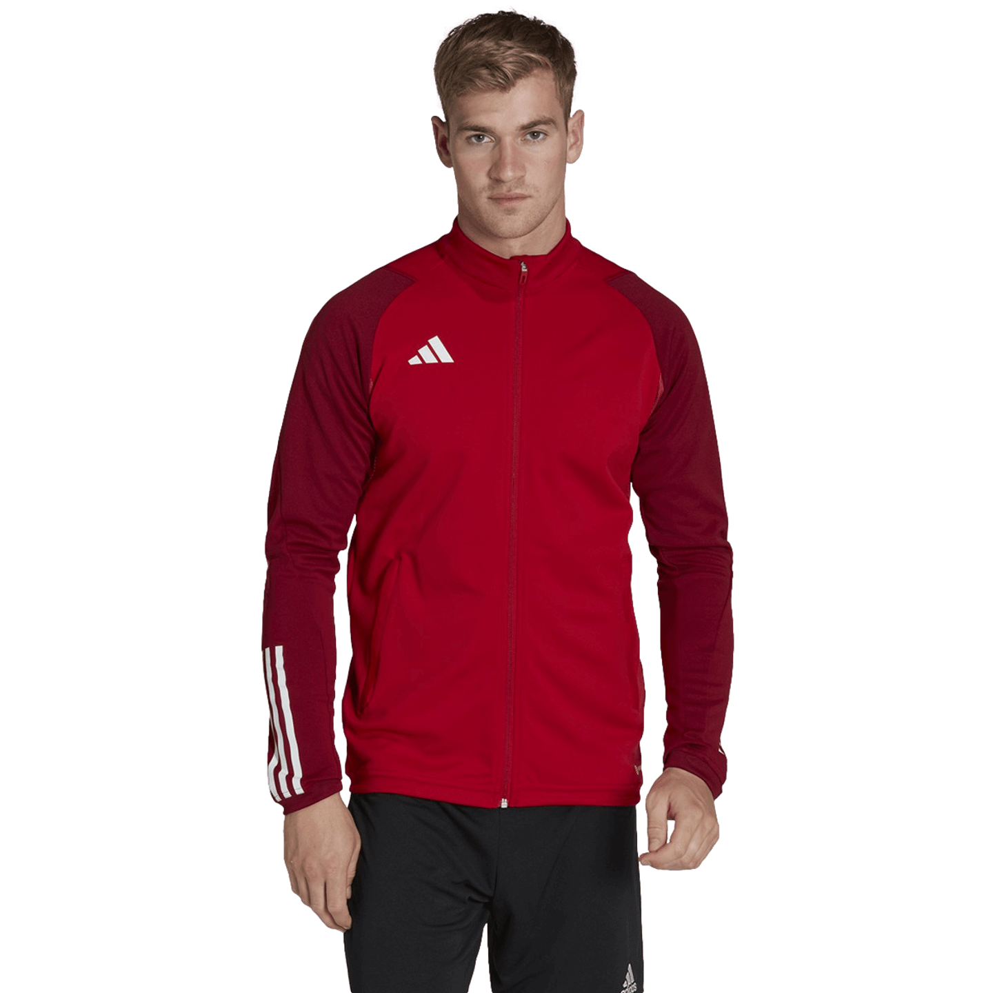 Adidas Tiro 23 Competition Training Jacket