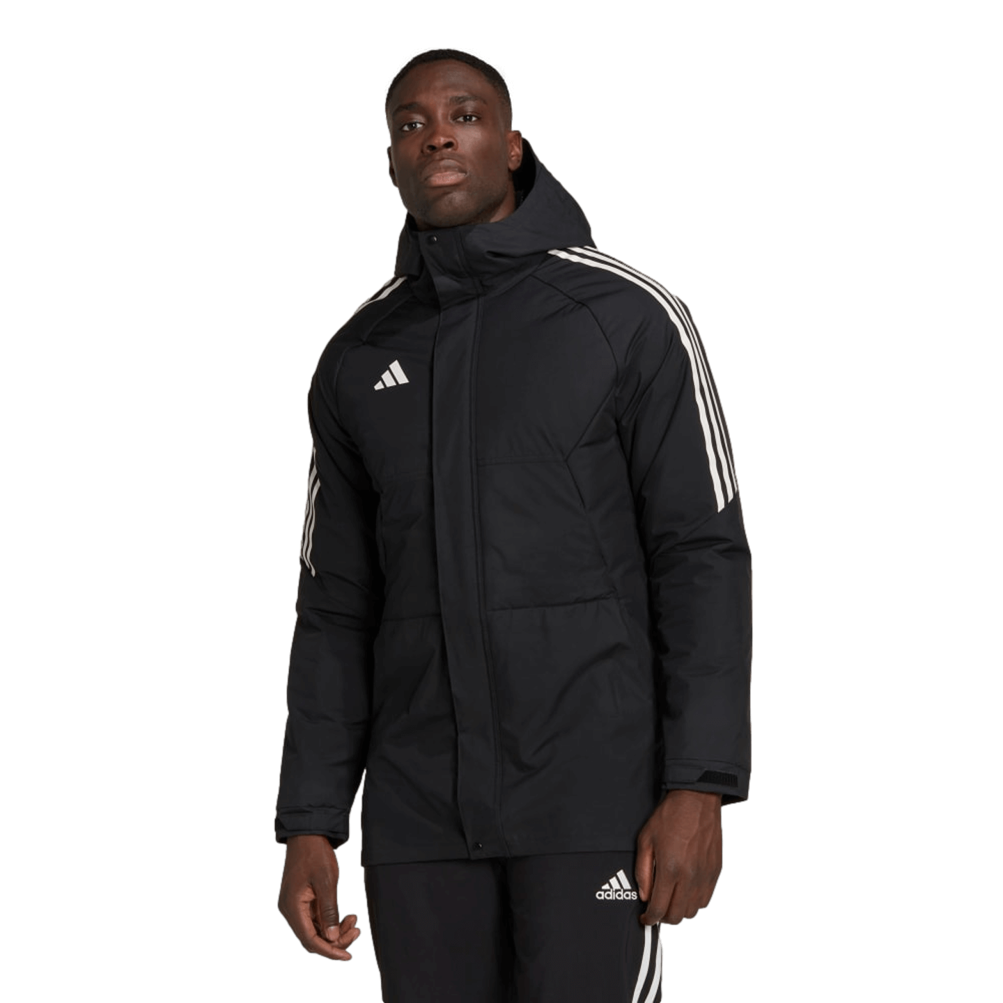 Adidas Parka Condivo 22 Stadium