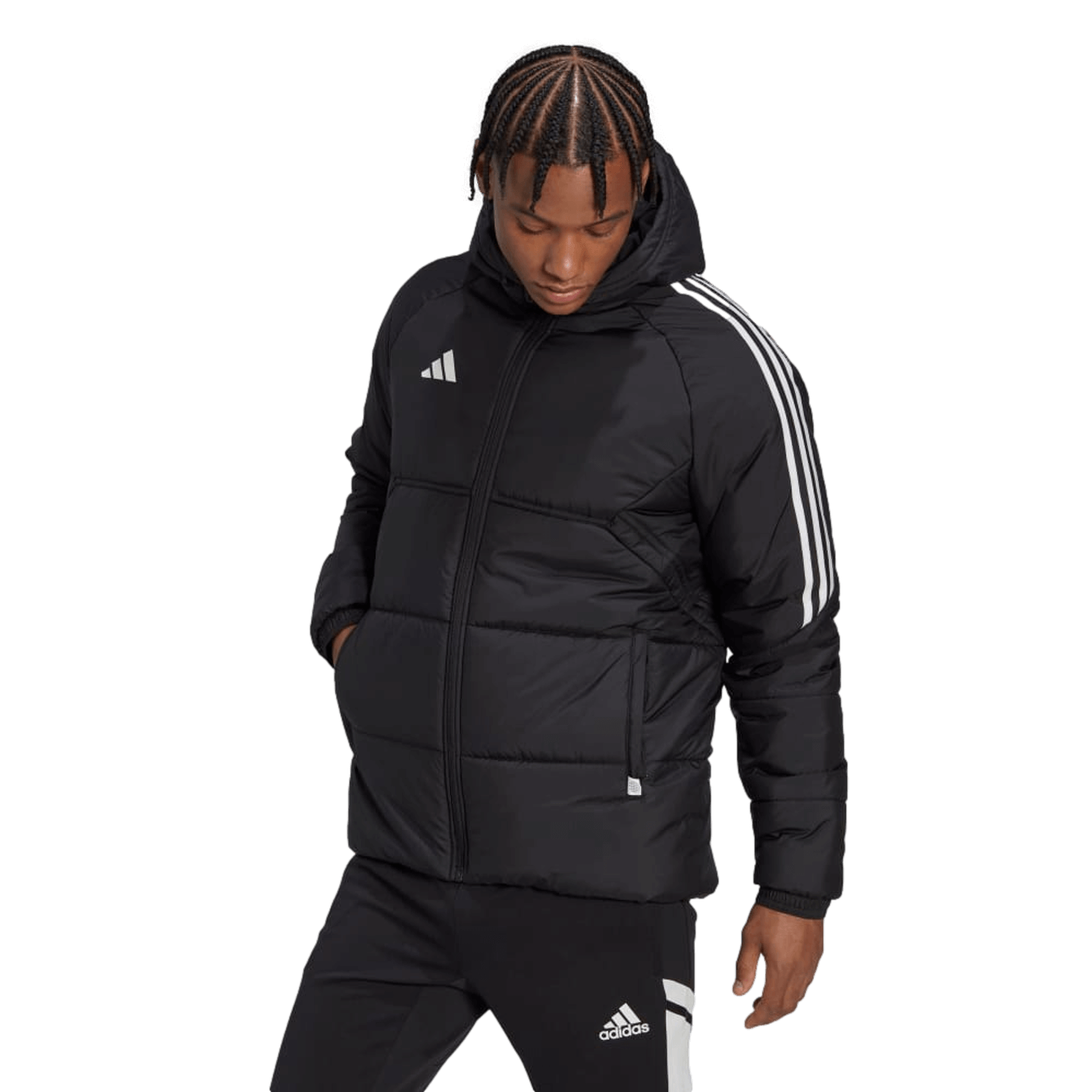 Adidas Condivo 22 Winter Jacket