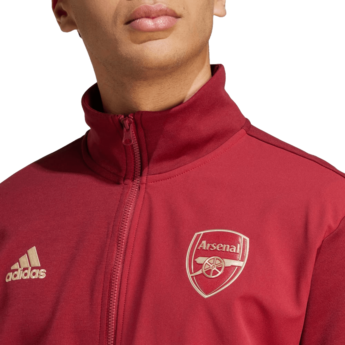 Chaqueta Anthem del Arsenal de Adidas