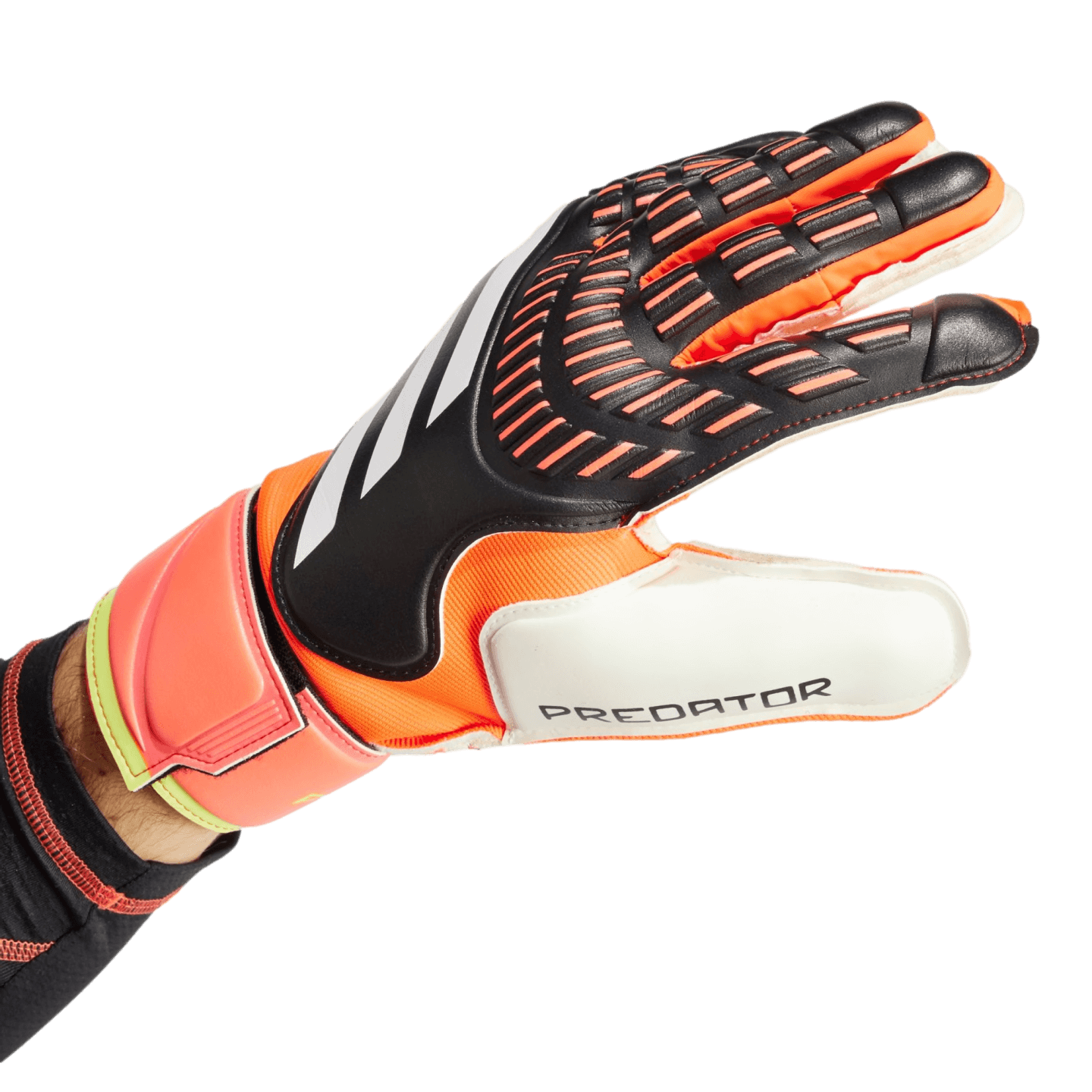 Guantes de portero Adidas Predator Match