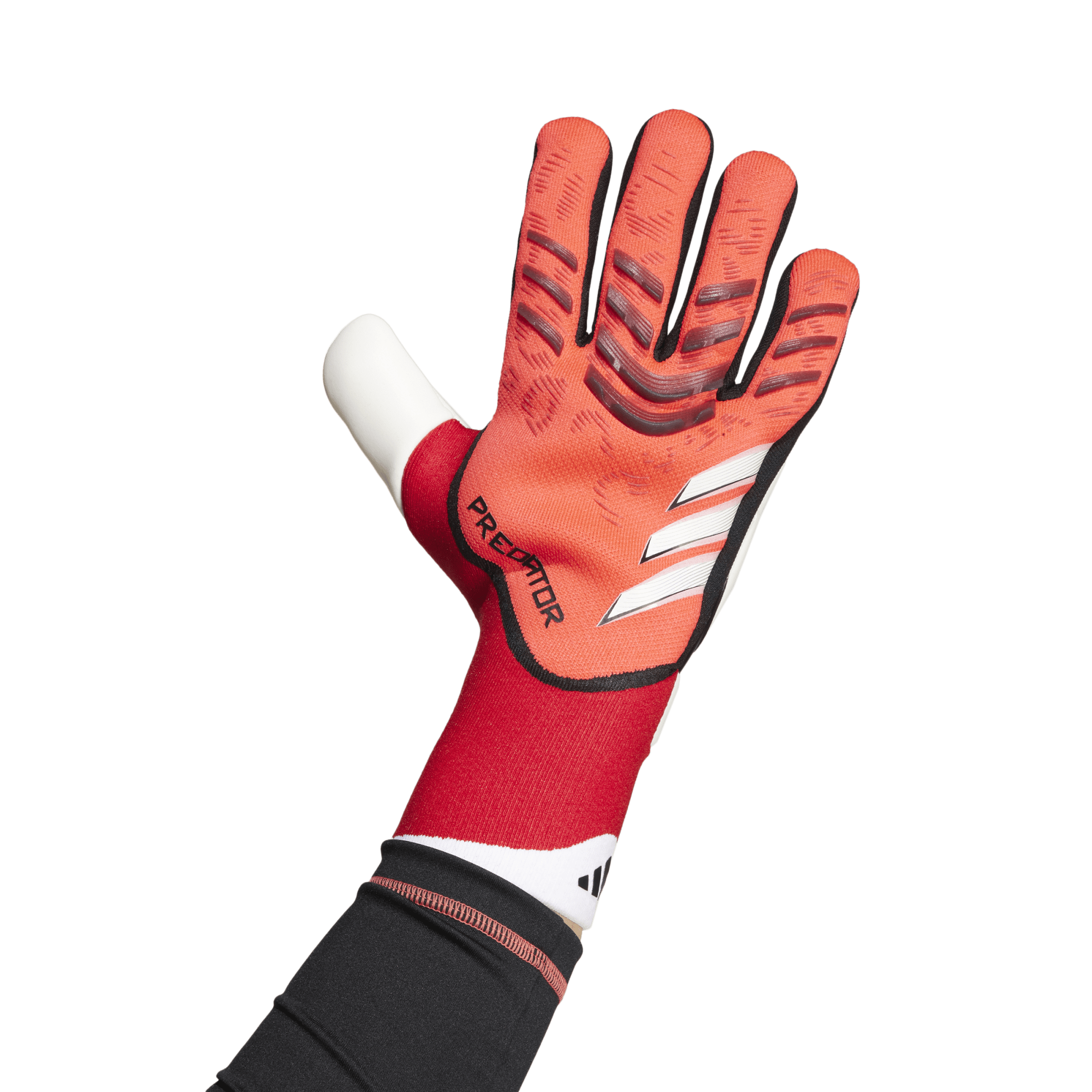 An Adidas Predator goalkeeper glove in red and white, worn on a hand against a solid green background.