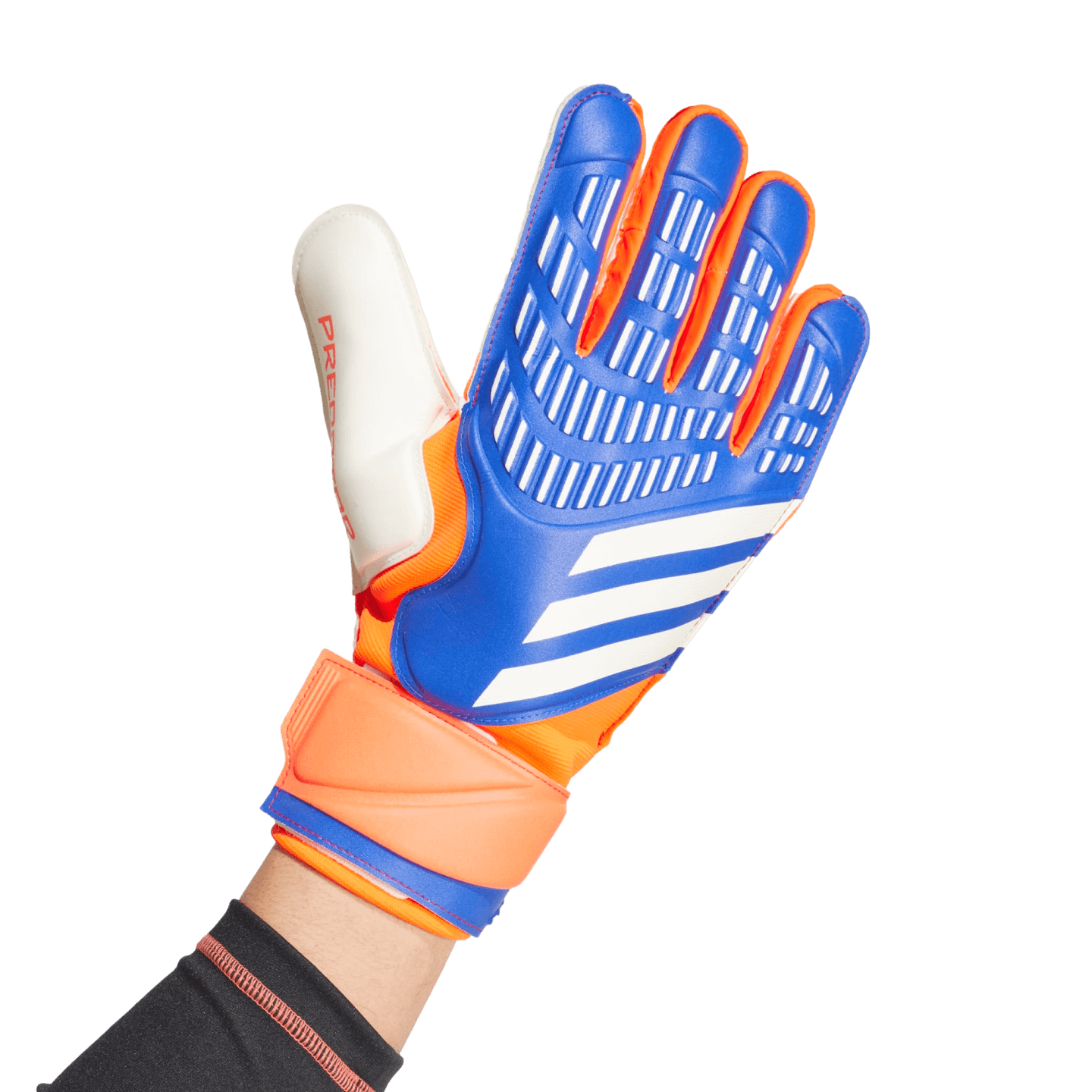 Adidas Predator Match Goalkeeper Gloves