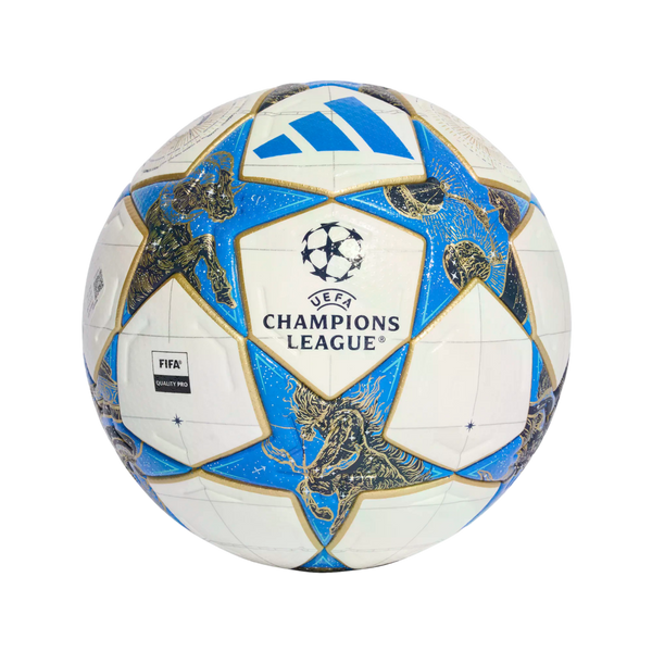 Adidas UCL Pro Match Ball Soccer JD0188 White
