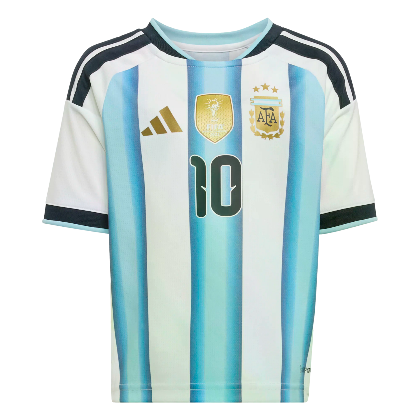 Argentina home football jersey with light blue and white vertical stripes, gold accents, and the number 10.
