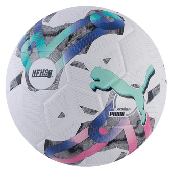 Puma Orbita 3 TB NFHS Soccer Ball