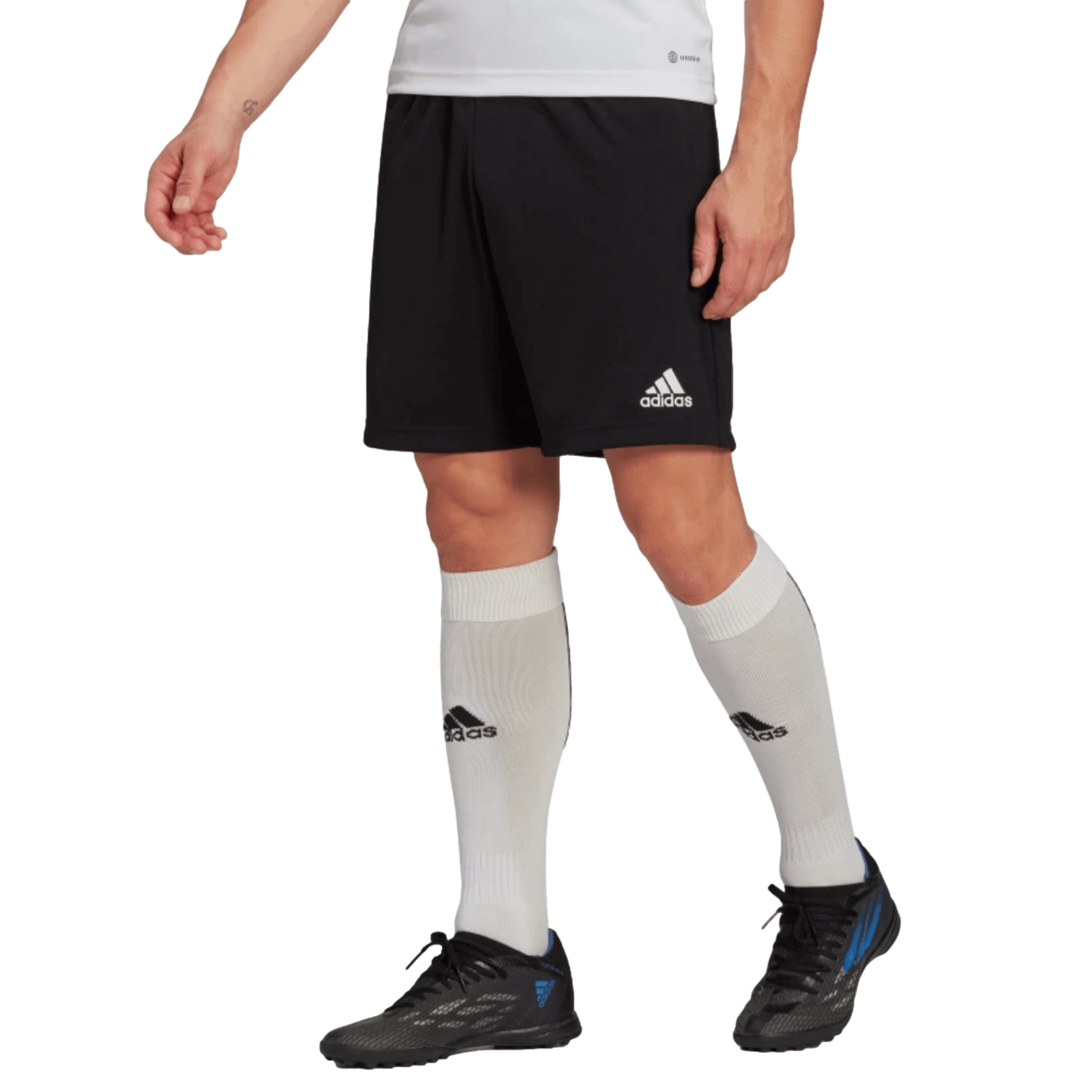 Adidas Entrada 22 Training Shorts