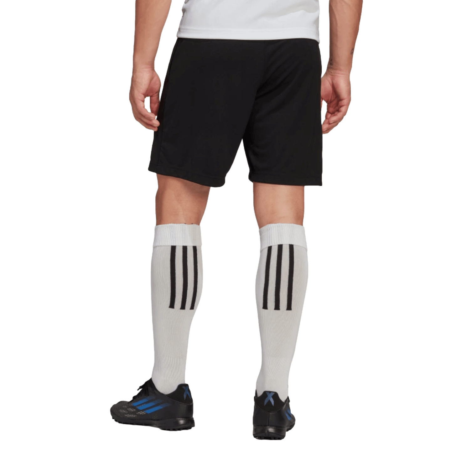 Adidas Entrada 22 Training Shorts