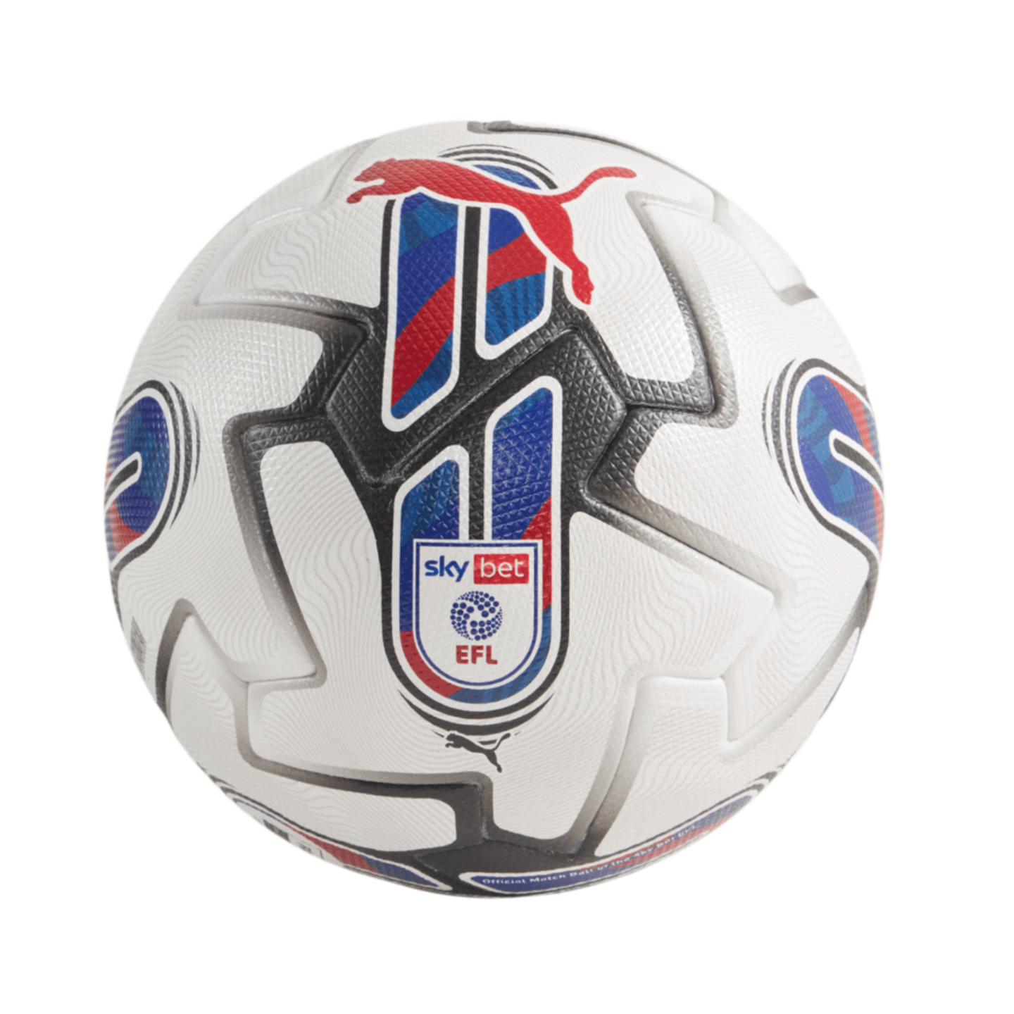 Puma Orbita 1 EFL Sky Bet FIFA Quality Ball