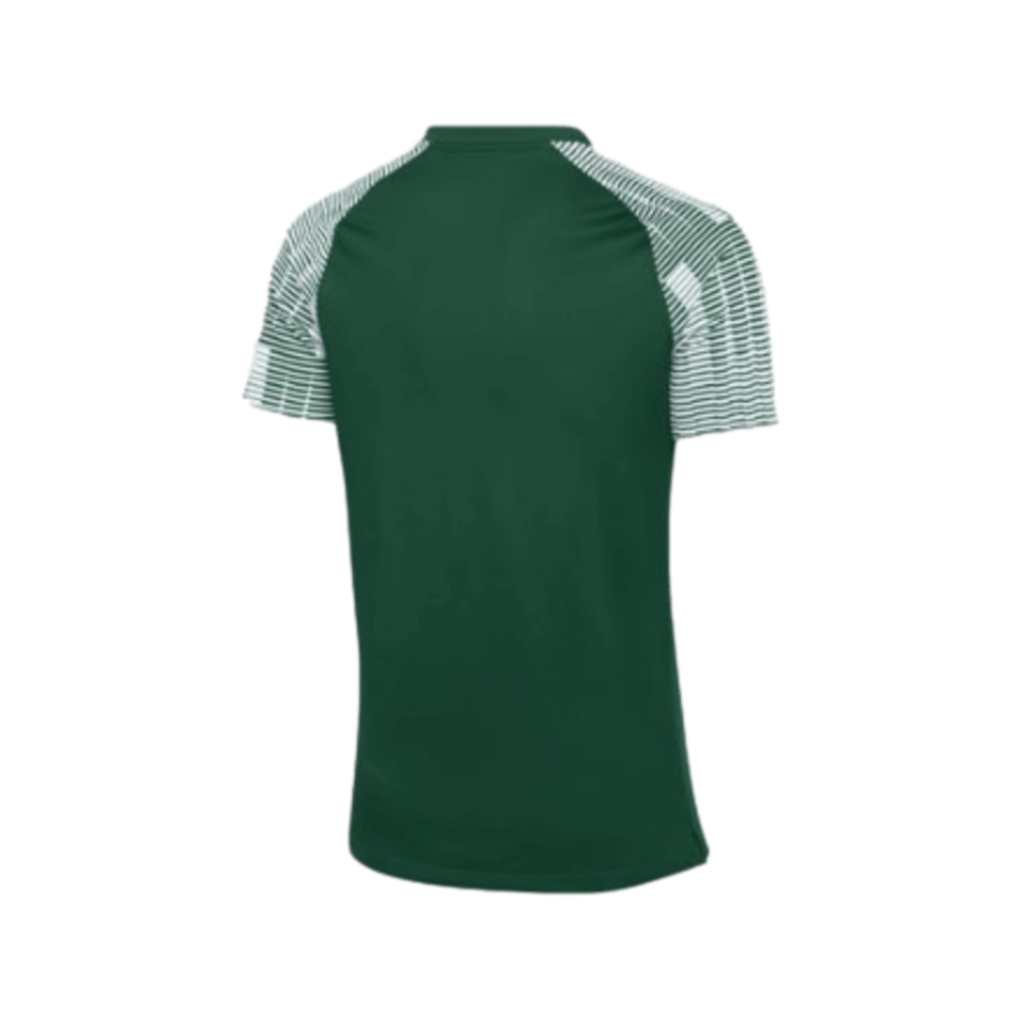 Nike Dri-FIT Academy Jersey