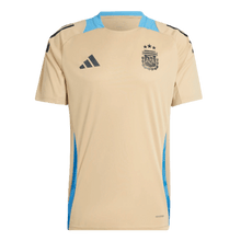 Adidas Argentina Training Jersey