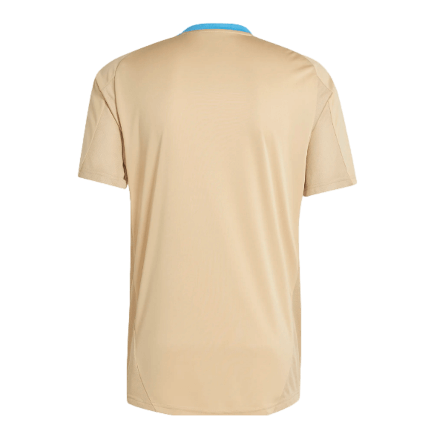 Camiseta de entrenamiento de Argentina de Adidas