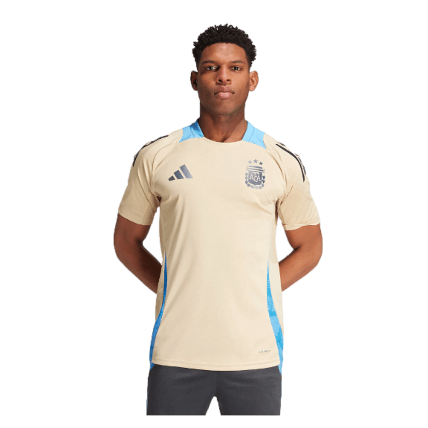 Camiseta de entrenamiento de Argentina de Adidas