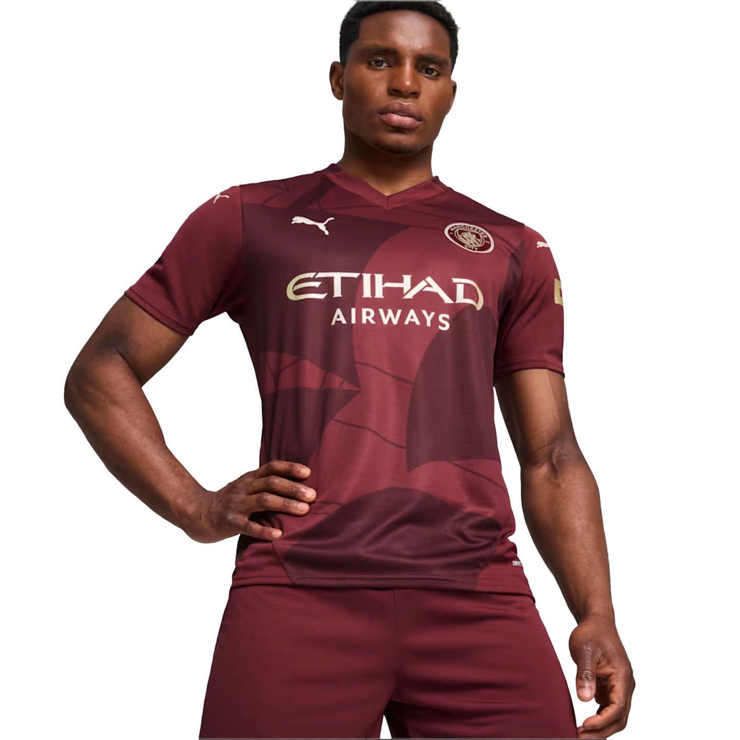 Puma Manchester City 24/25 Third Jersey