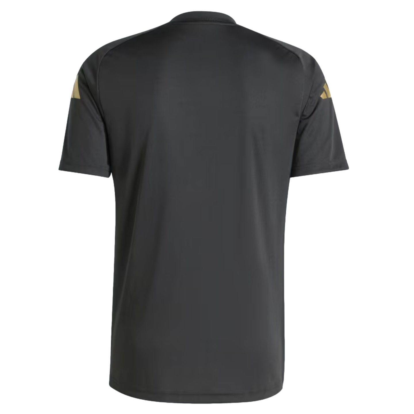 Adidas Argentina Pre-Match Jersey