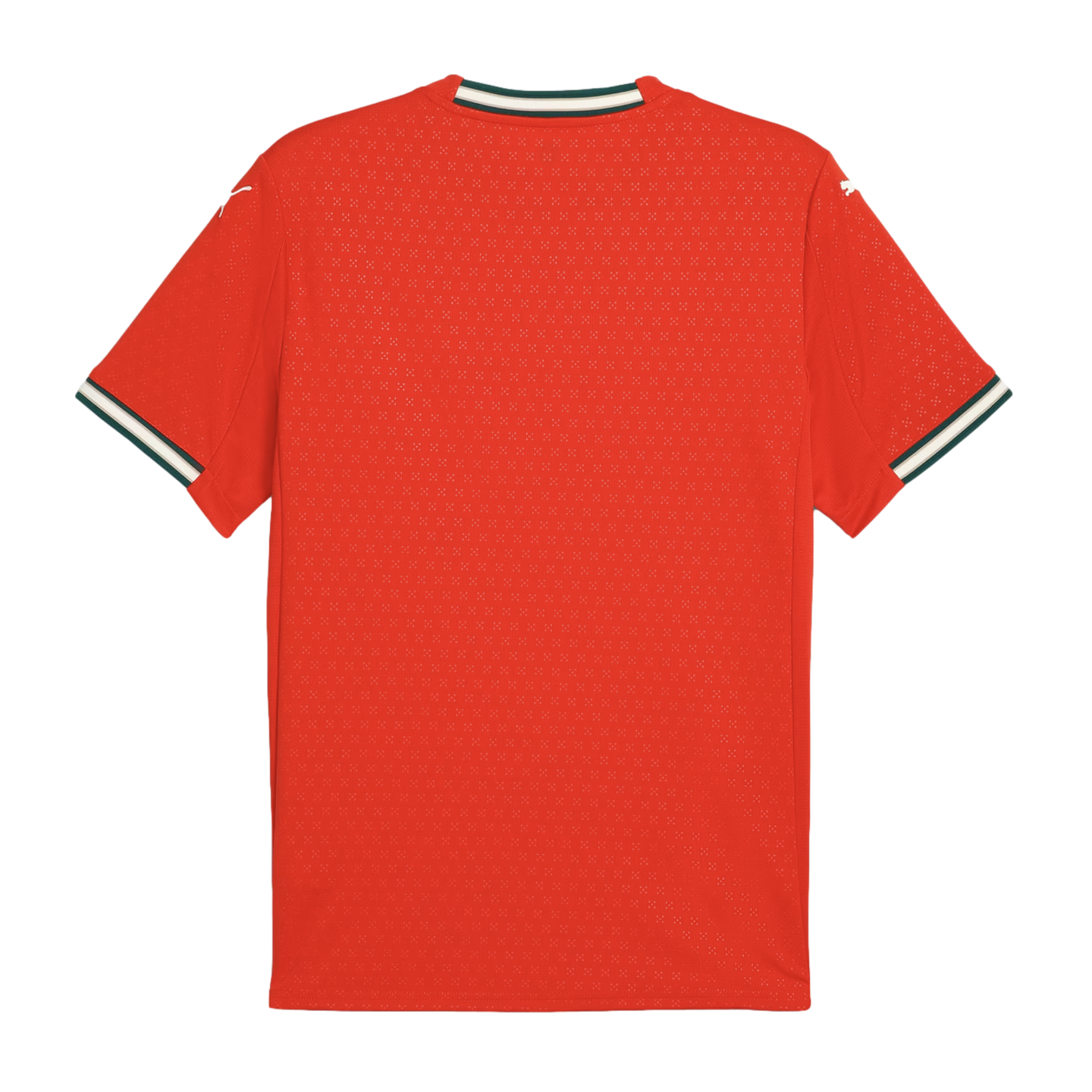 Camiseta de local Puma Portugal 2025