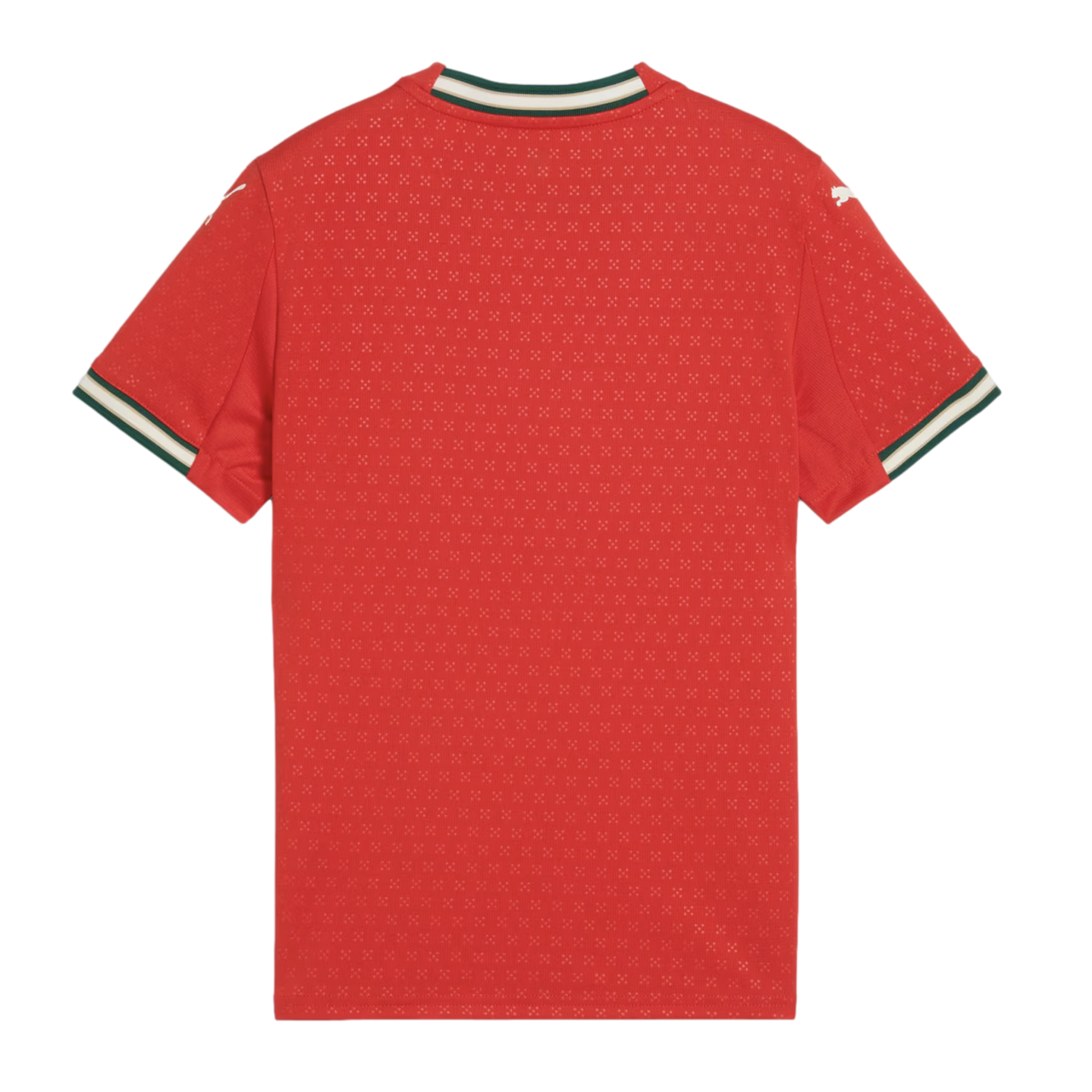 Puma Portugal 2025 Youth Home Jersey