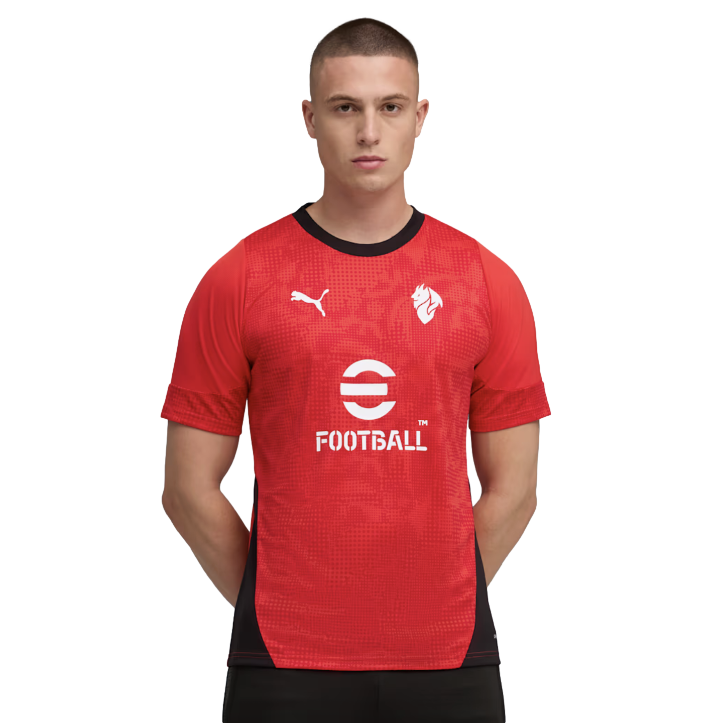 Puma AC Milan Training Jersey