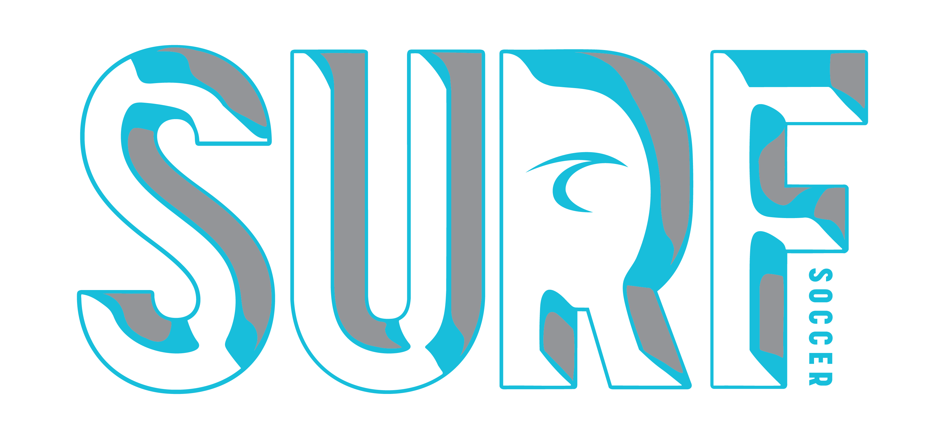 Chrome Surf Logo