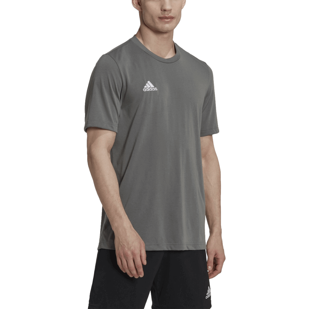 Adidas Entrada 22 Poly Tee